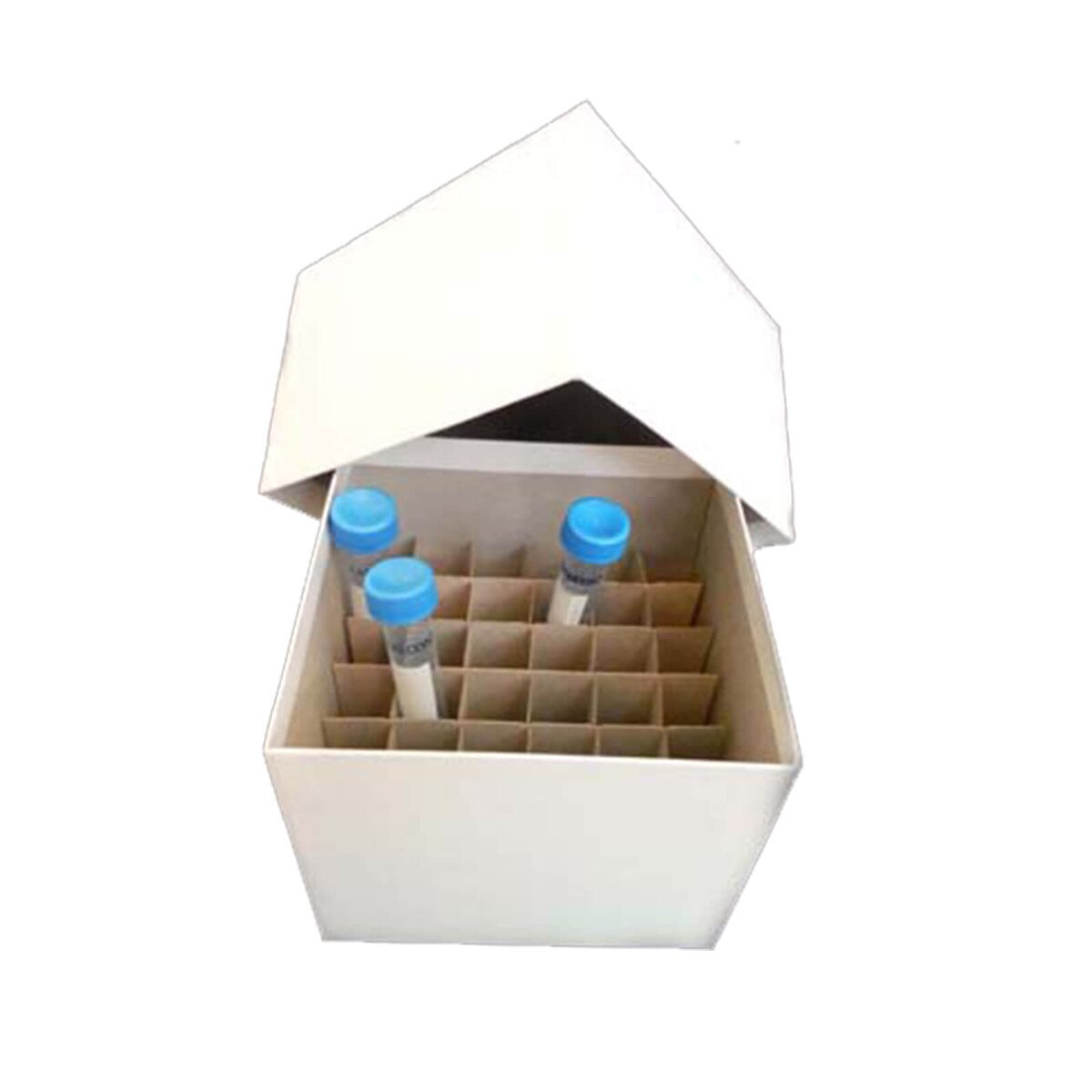 Azer cryogenic storage box